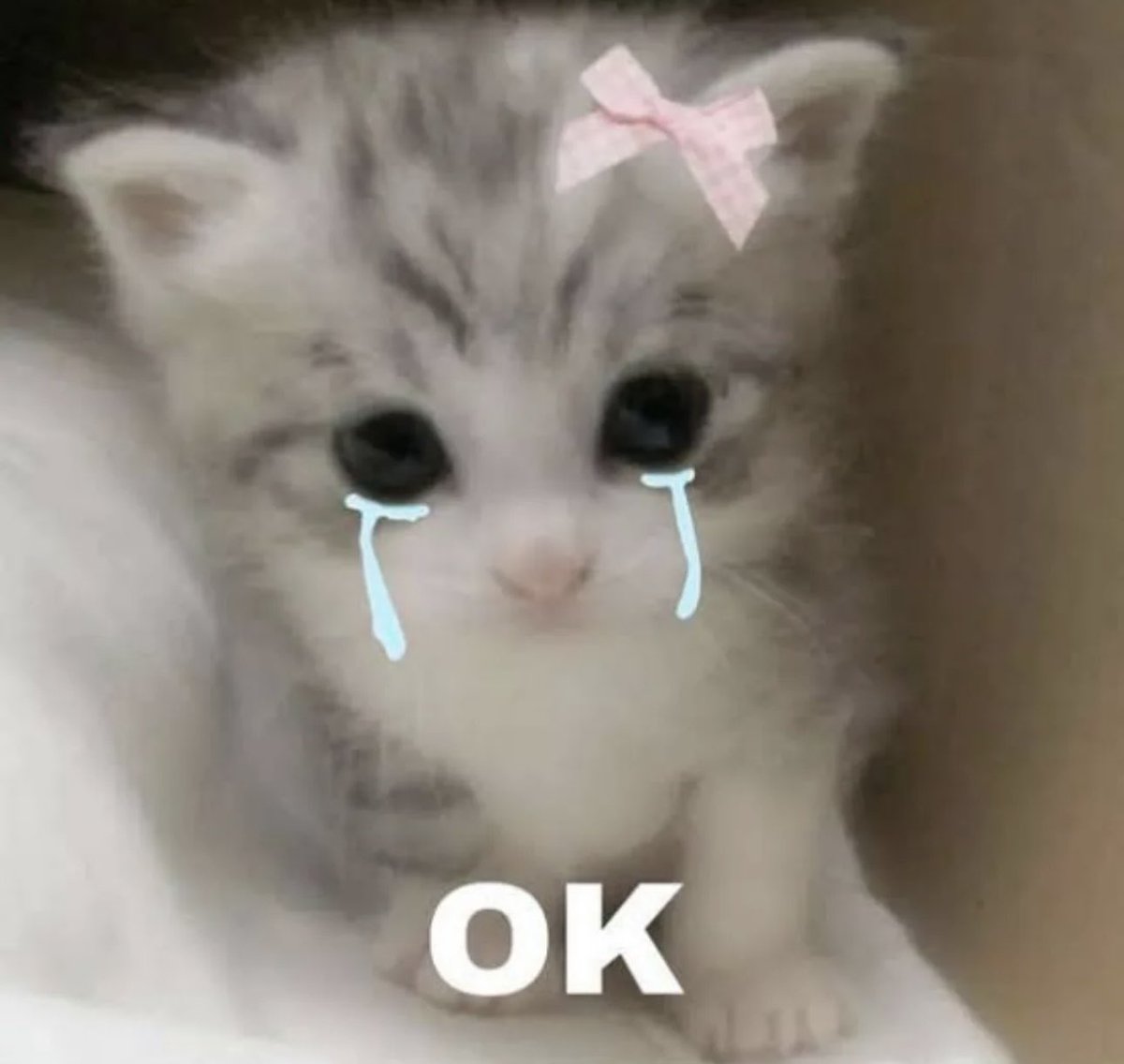 By the way🌸I don‘t like people who say they follow everyone but they don‘t  Then just don‘t🙃🫠