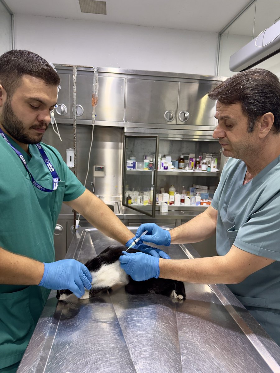 Üsküdar Belediyesi Minik Dostlar Kliniği (@uskminikdostlar) on Twitter photo 🐾 Minik Dostlar Merkez Kliniği’nde Sağlık Her Şeyden Önce Gelir
Minik dostlarımızın her biri bize emanet. 💙
<a href="/uskudarbld/">Üsküdar Belediyesi</a> <a href="/sdedetas/">Sinem Dedetaş</a> 🐾 Minik Dostlar Merkez Kliniği’nde Sağlık Her Şeyden Önce Gelir
Minik dostlarımızın her biri bize emanet. 💙
<a href="/uskudarbld/">Üsküdar Belediyesi</a> <a href="/sdedetas/">Sinem Dedetaş</a>