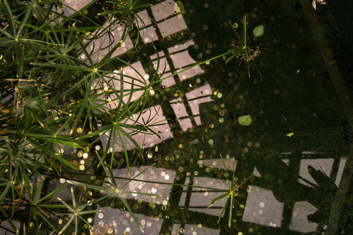 Gm all

“let’s wish at least”

1/5
2 xtz

objkt.com/tokens/KT1WuWj…