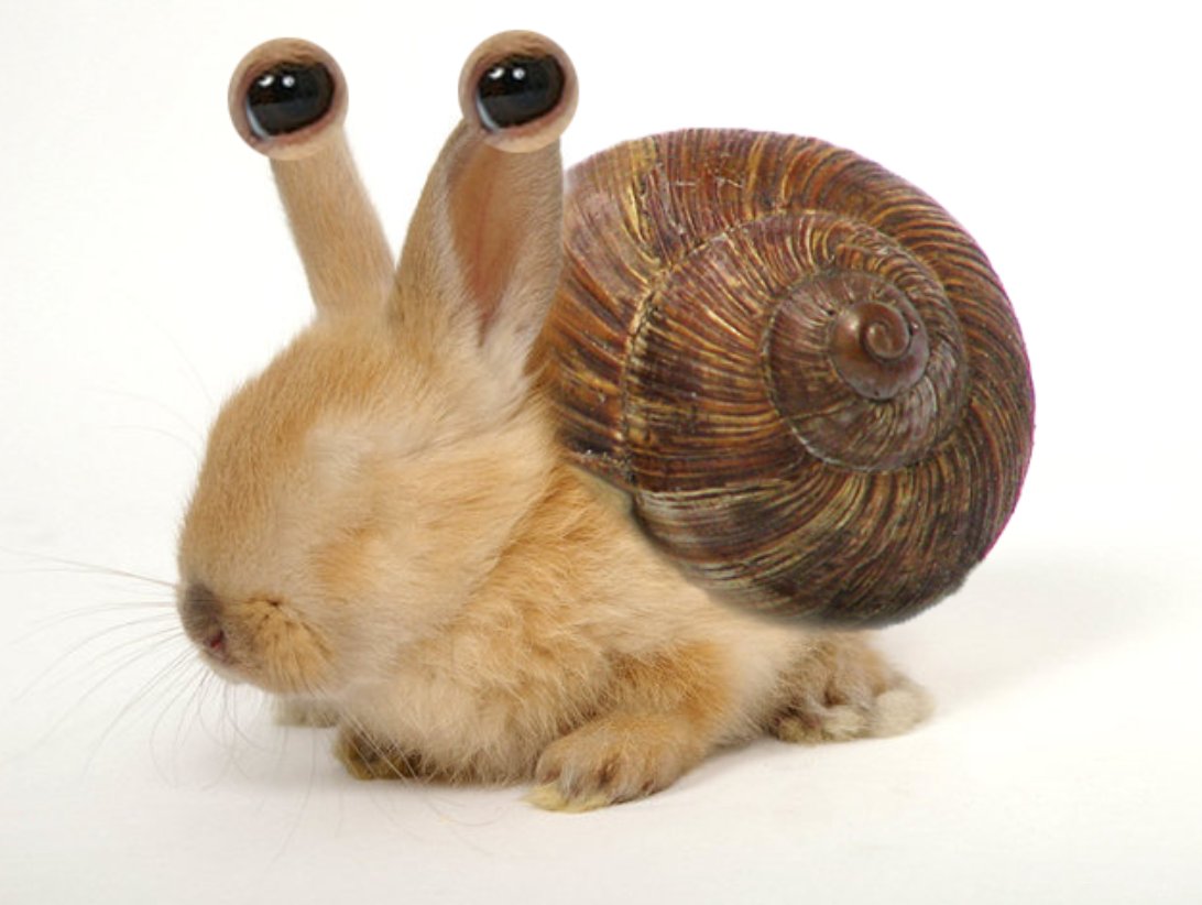 must've been a snunny