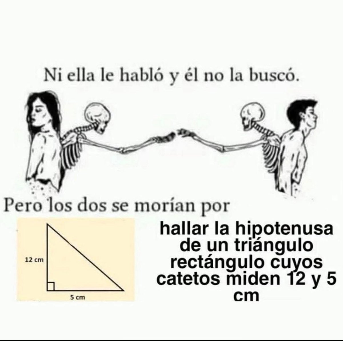 Enlace Pitagórico 🤣