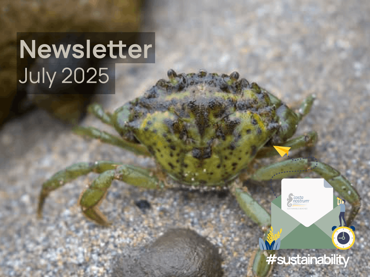 🇪🇺 July, 2025: Costa Nostrum expands its reach across Europe

Οur sustainable beach protocol is now being implemented in six European countries!

✅ Here’s a closer look at why July was so pivotal for us:
🔗🇬🇧 cnsl.eu/aez3f
🔗🇬🇷 cnsl.eu/5ruw7