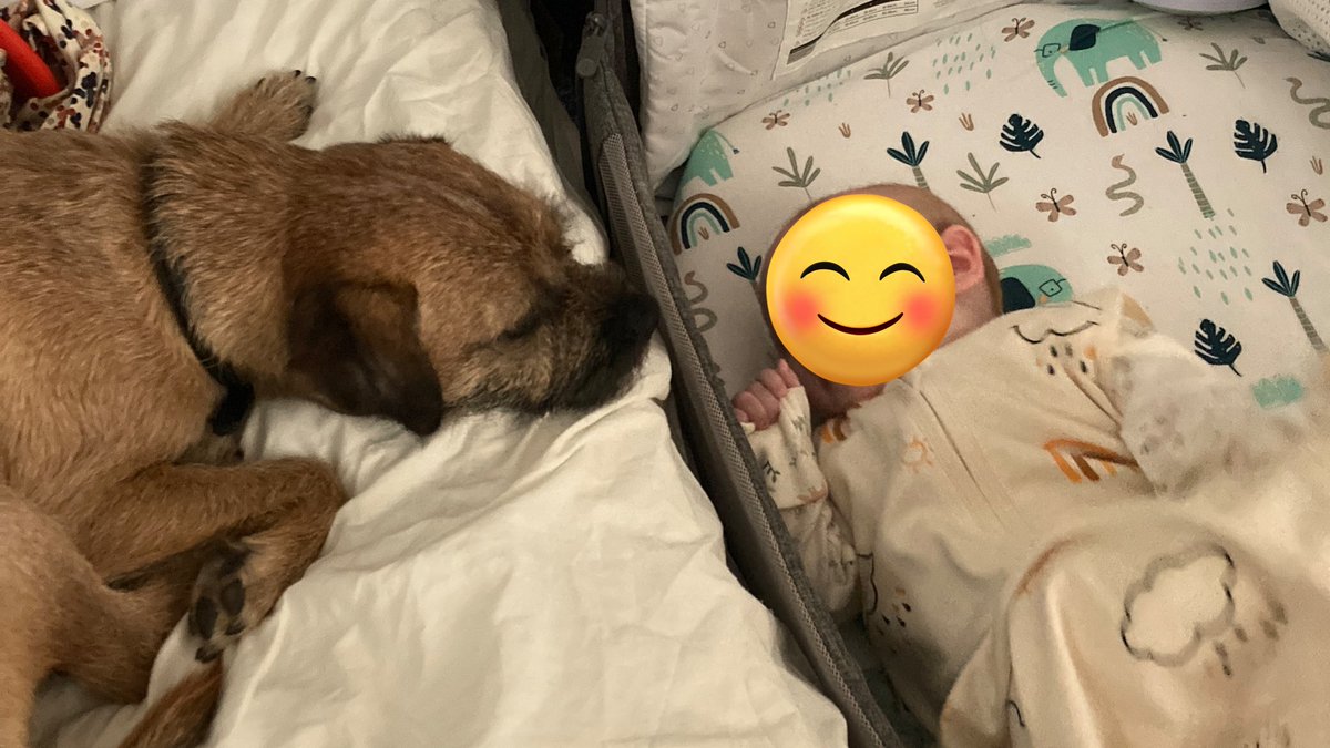 These two are gunna be besties! 💛💜