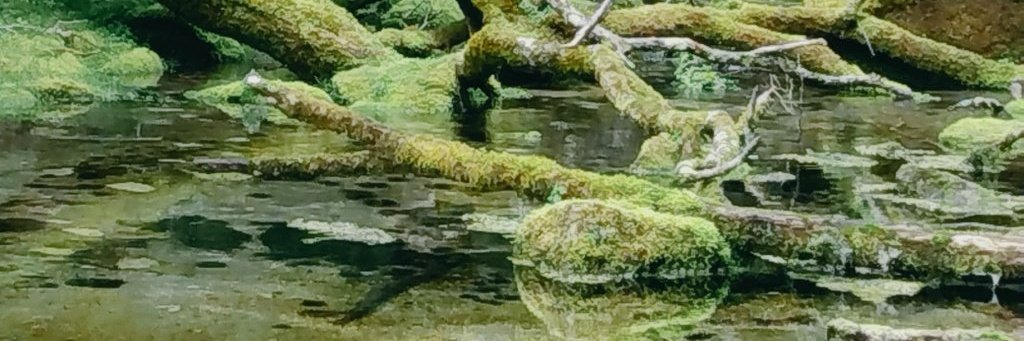 群馬県伊勢崎で41.8℃！　国内の最高気温を更新だって
暑かったんだなあ💦

帰り道、お気をつけて
おつかれさまです　(^^ゞ