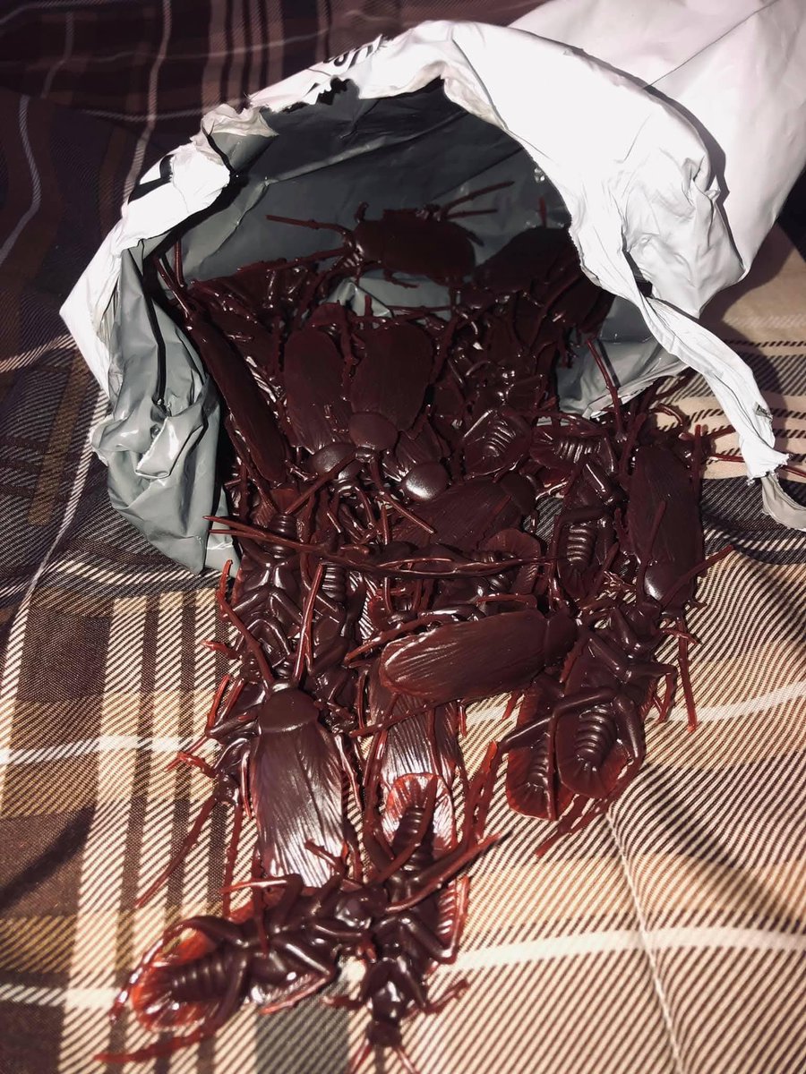 Compré 50 cucarachas fake para hacer bromas por ahí  y ni me acordaba… cuando abrí el paquete fui el primero que cayó.