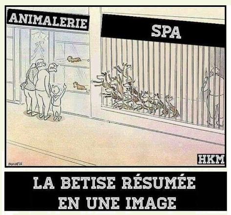 PATHER (@patchagil) on Twitter photo 