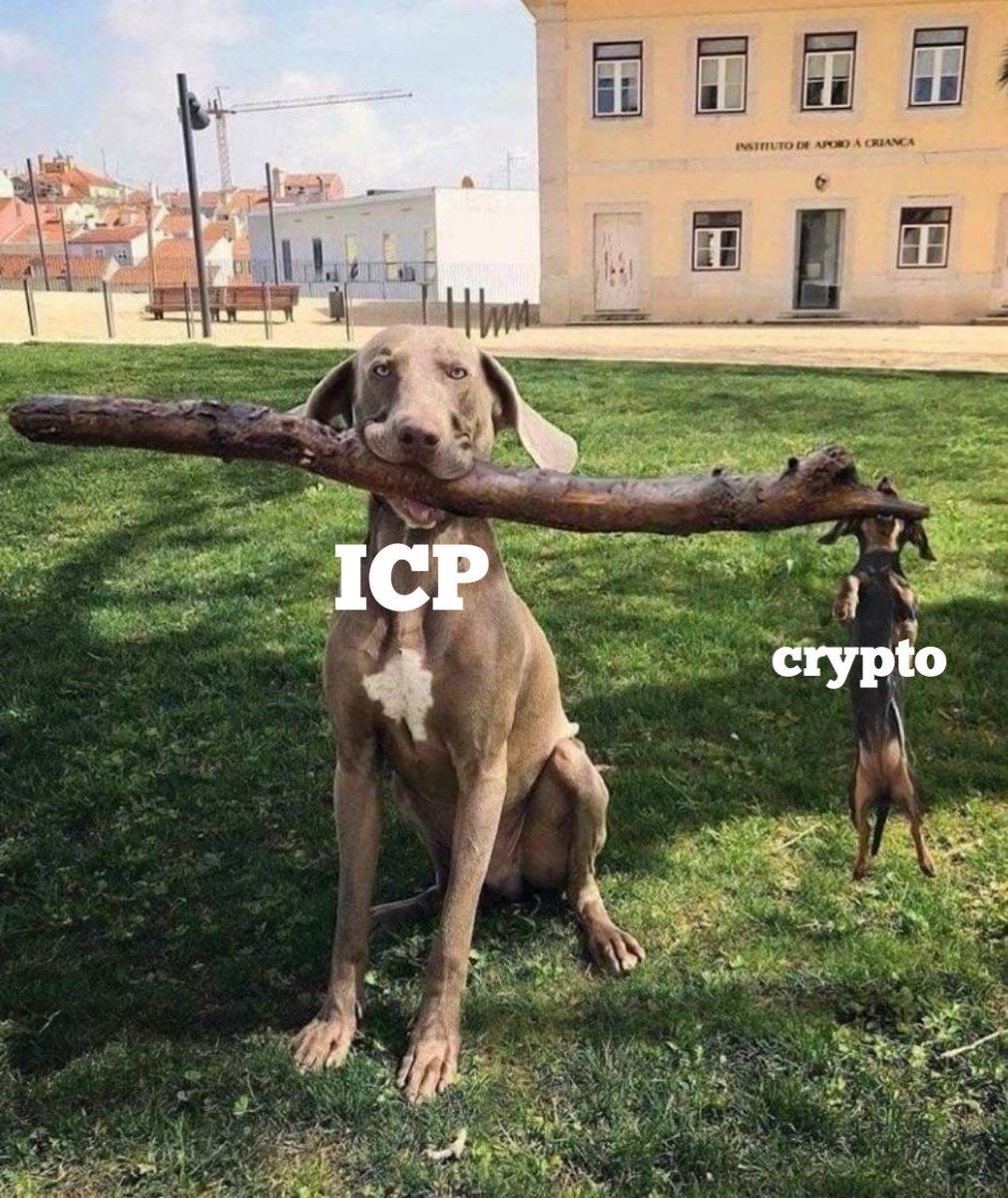 Simon ∞ (@simonsavvy) on Twitter photo 