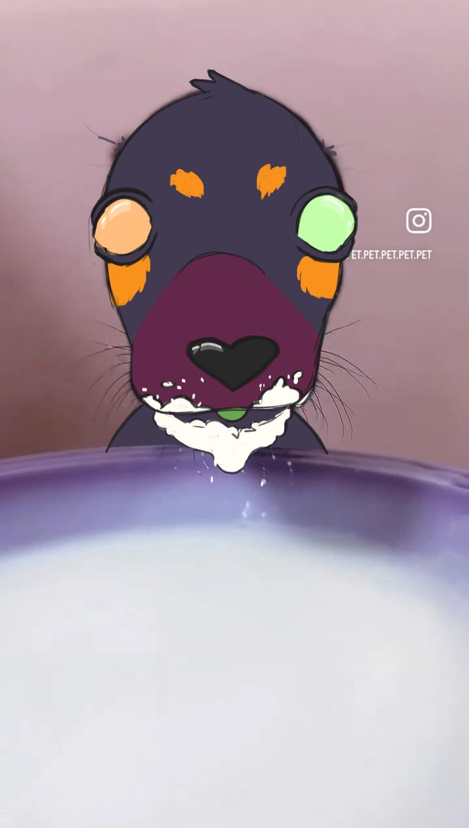 styx 🪲 (@pumpkin_stein) on Twitter photo 