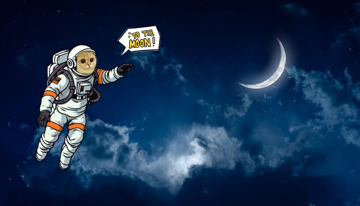 #catcoin to the moon