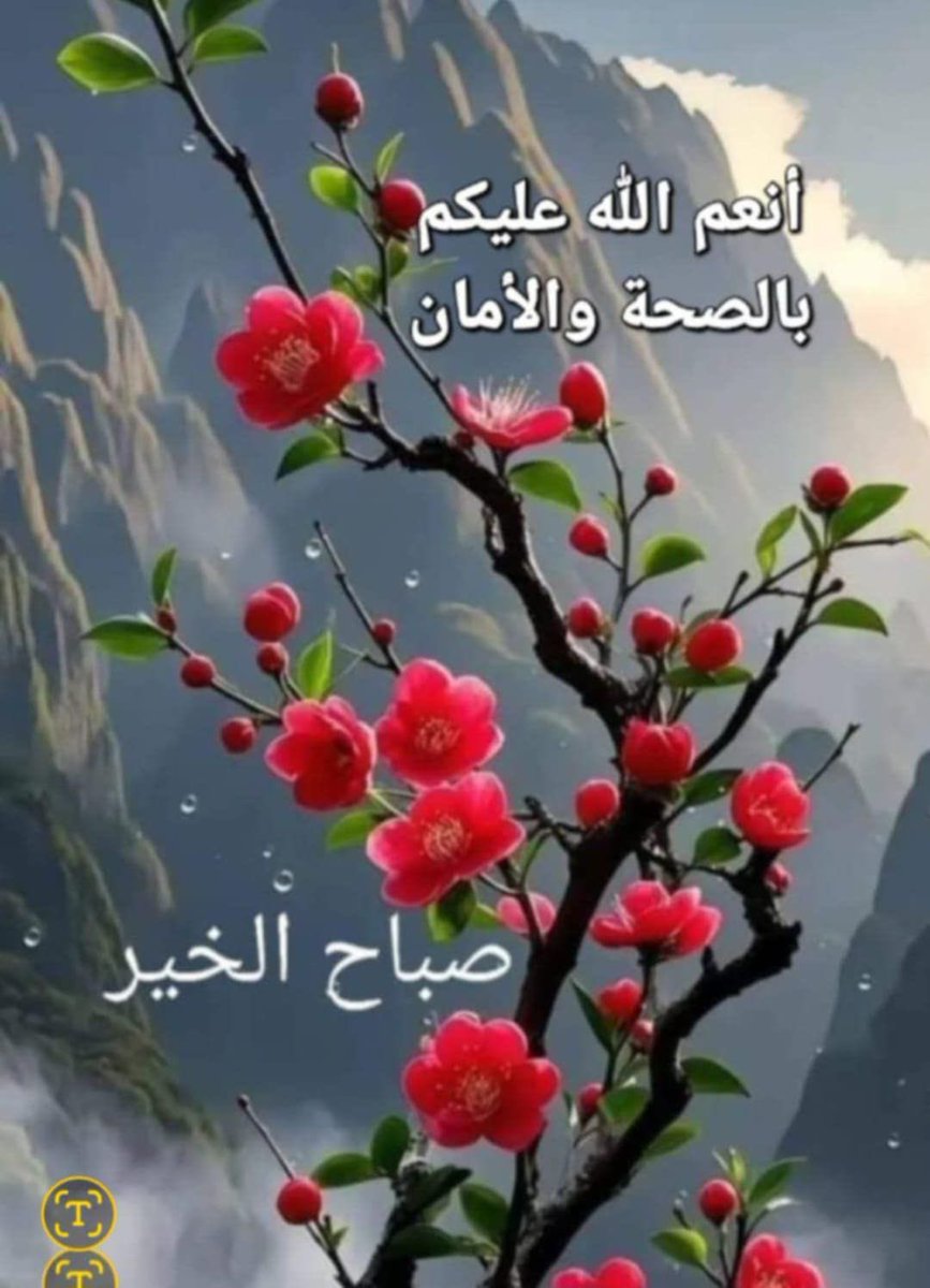 لا ..!
احد يحمل همك غير ظهرك ..🌺
اما الباقون ..
فيحبون يعرفون قصتك فقط ..🌺

صباحكم محمل لكم بالصحه والعافيه ..🌺🌺🌺