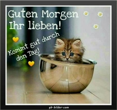 Conny (@bollcornelia) on Twitter photo 