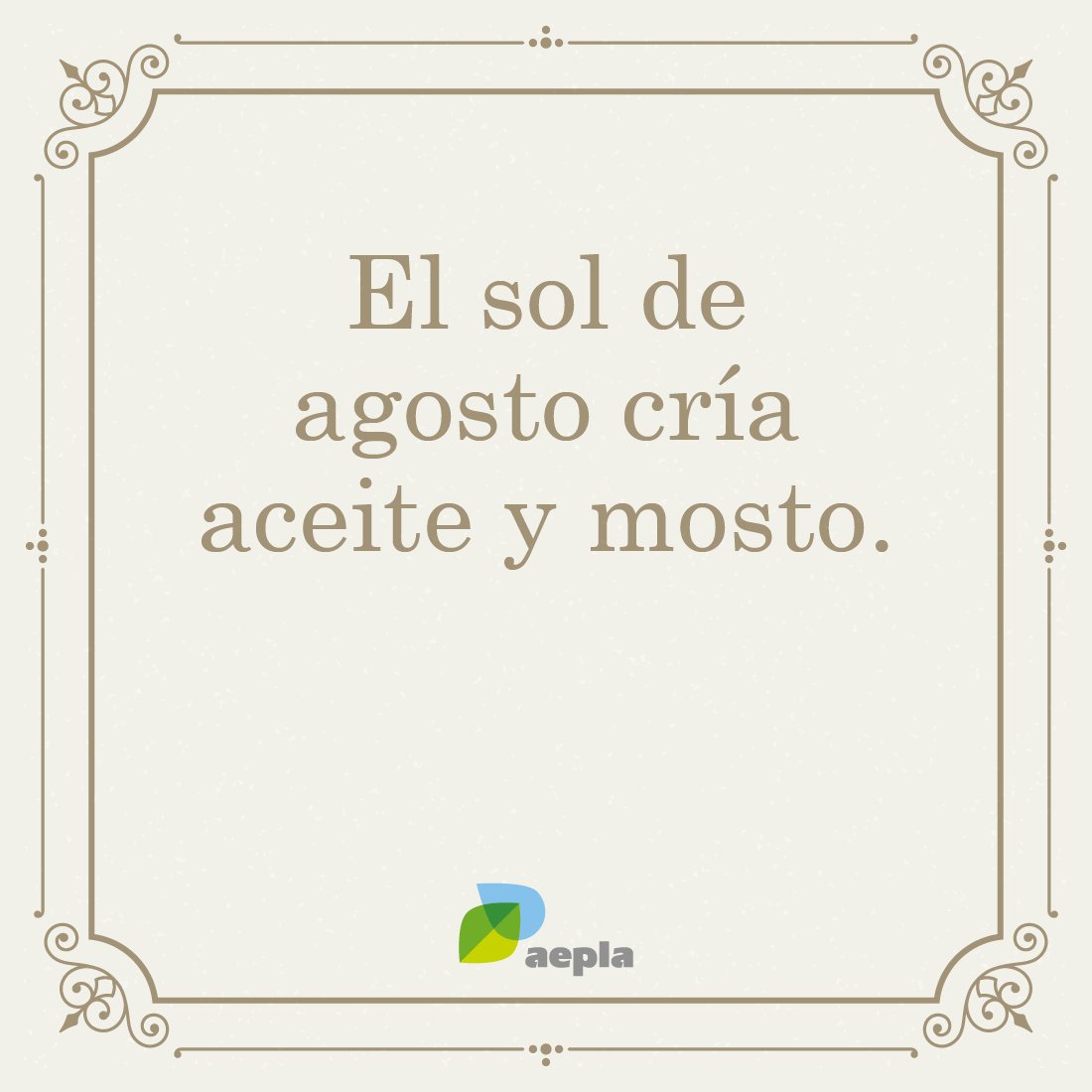 El calor del verano ☀️🌡️ puede llegar a ser muy molesto.

Sin embargo, estas condiciones climáticas son claves para garantizar una buena cosecha de cultivos como la vid 🍇 o el olivo 🫒

#SinTiNoSoyNada 💚