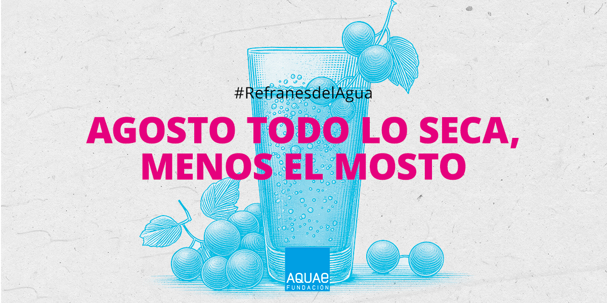 “Agosto, todo lo seca menos el mosto” ☀️🍇💧 
La sabiduría popular ligada al clima y al agua es parte de nuestro patrimonio cultural. Cada mes compartimos #RefranesdelAgua para mantener vivo este legado. 
Descubre más 👇
fundacionaquae.org/refranes-agua/
