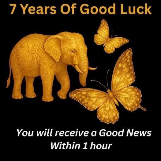 Law Of Attraction Coach tweet media