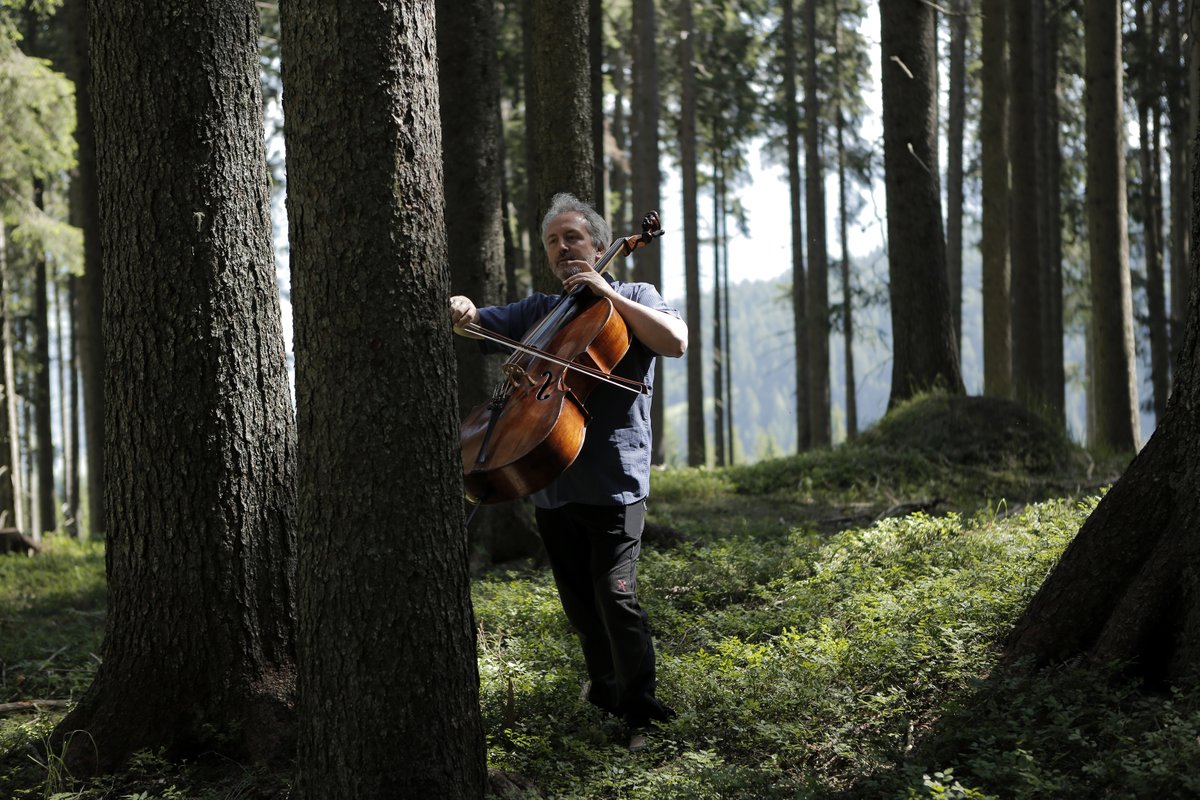 Avui dimarts 5 d'agost, una nova cita d'In-Edit Empordà:

19.00 Visita guiada al Museu Palau Solterra-Fundació Vila Casas
19.30 Col·loqui previ a la projecció del documental 
21.30 "A la recerca del violí perfecte", al Cinema Montgrí

Entrades: es.in-edit.org/ca/docs/a-la-r…
