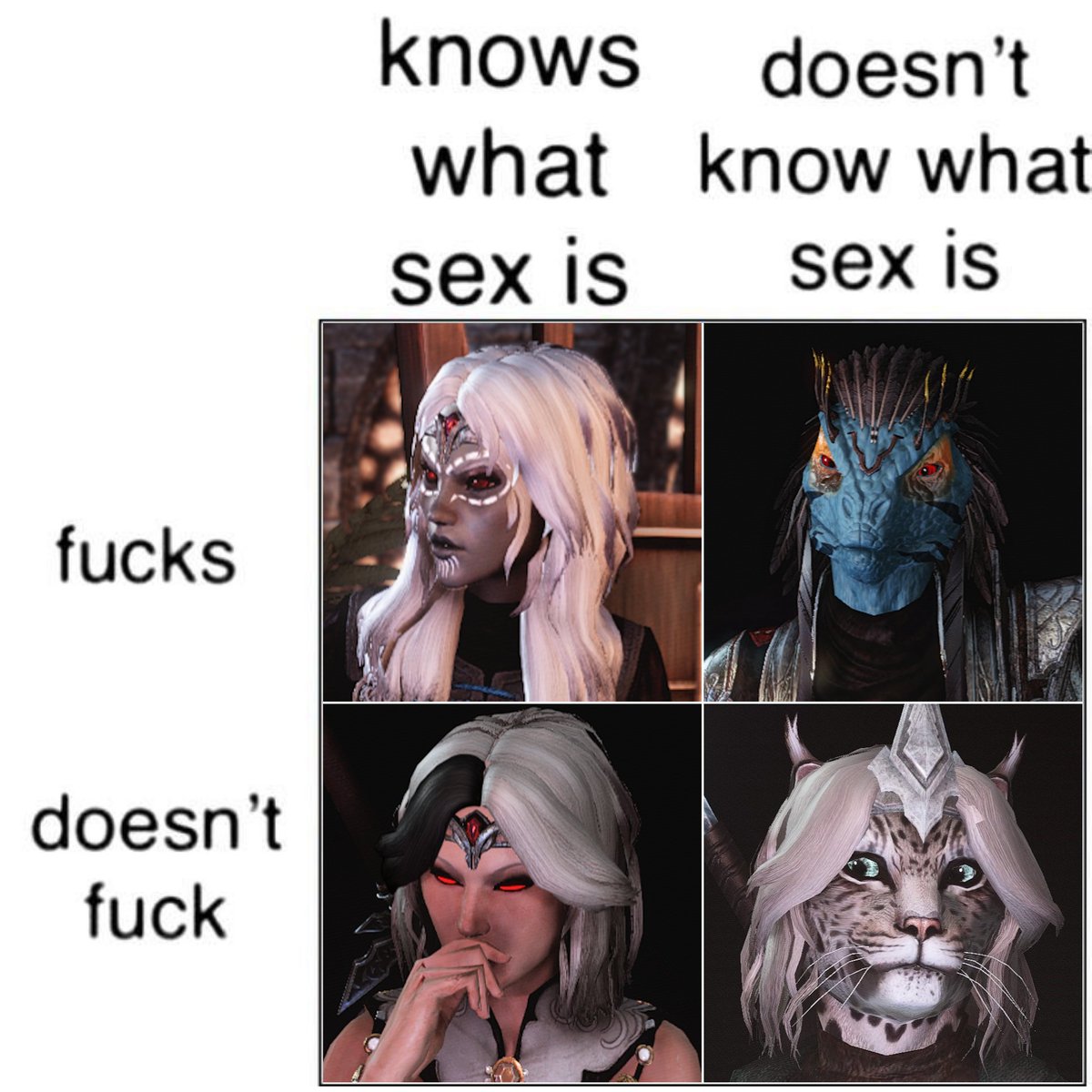 Vashi is a big fucking nerd and also analloerotic