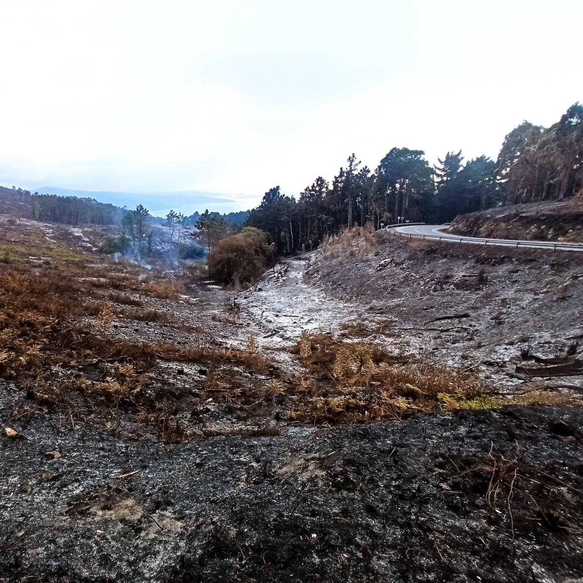 Ponteceso | Extinguido o lume de Cospindo. 

 A Xunta dou por extinguido este luns ás 23.17 o lume da parroquia de Cospindo, finalmente afectou unha superficie de  245,38 ha.
Segue  estabilizado o de Brantuas de 170 e controlado o da Graña que queimou 100 ha.