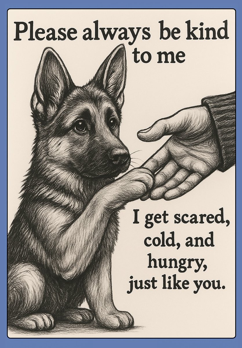 All I need is your love and a little kindness.🐾❤