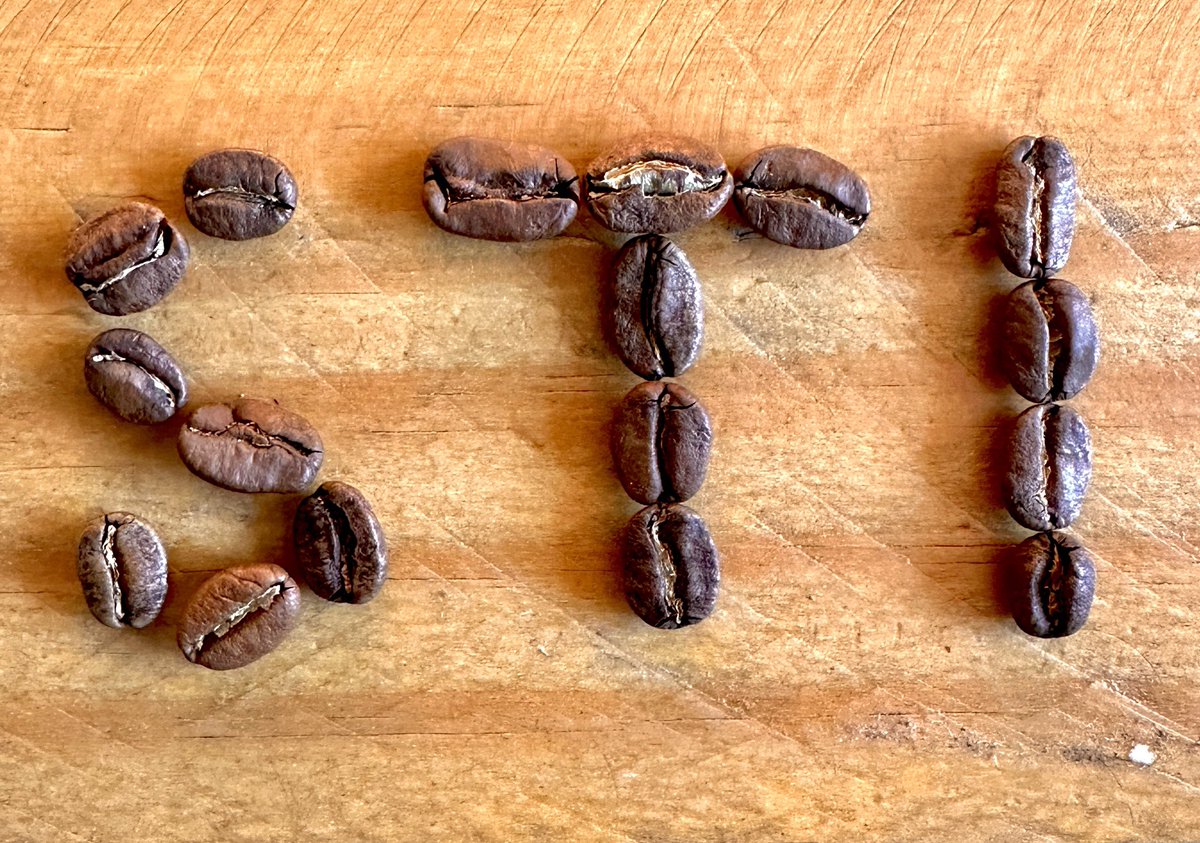 GM, say it back! ☕️ 

NEW WEBSITE, NEW GAMES, still no initials. 😿 

Have a look! 

shouldvetookinitials.xyz