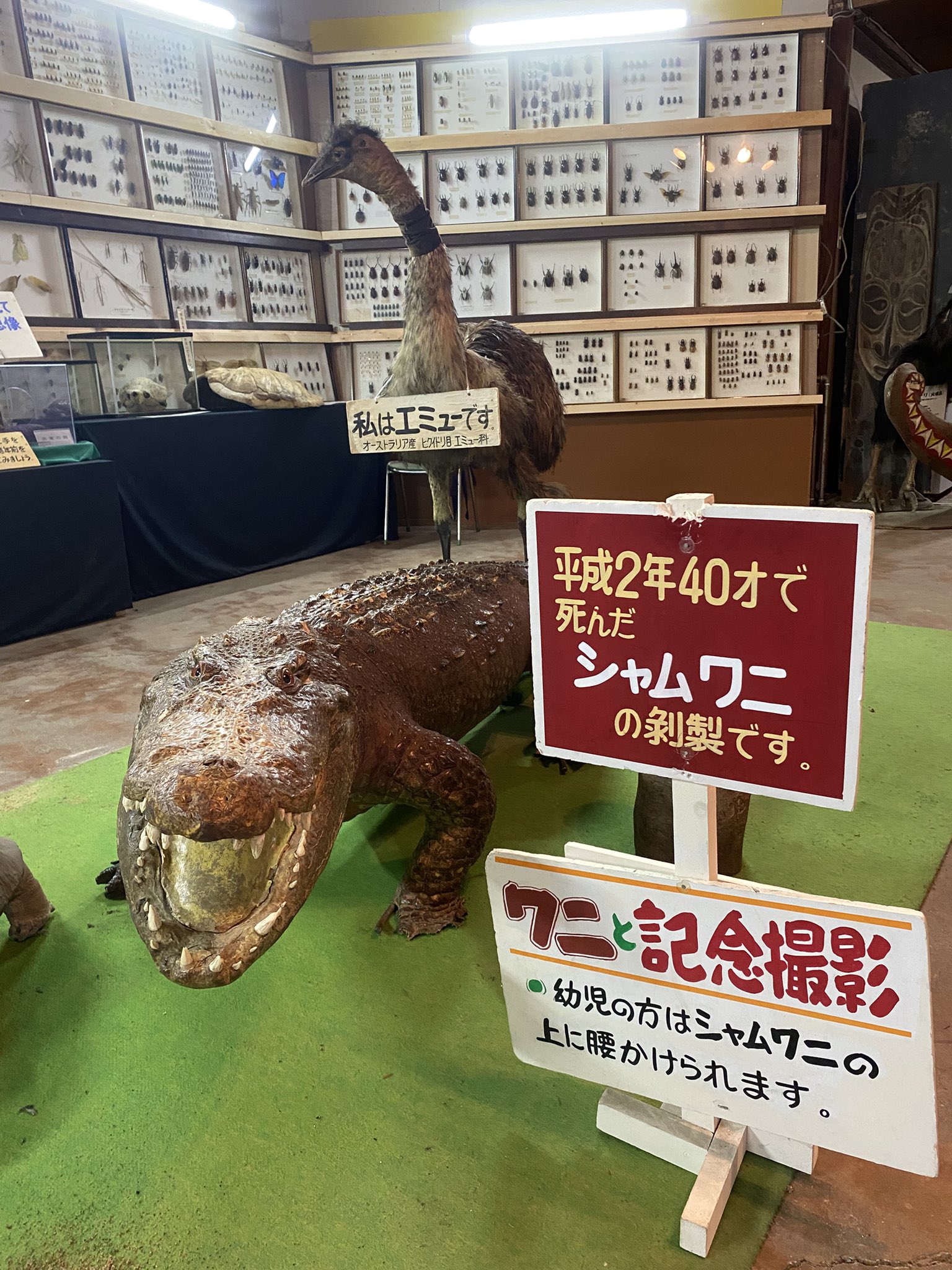 希少♡草津♡ゆもみちゃん＊001＊ 草津温泉 ゆもみちゃんメモ帳 非売品 - メルカリ