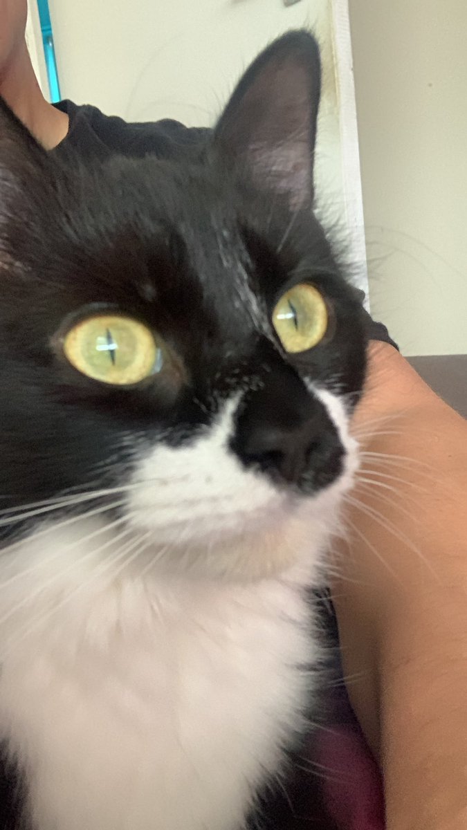 Well it’s been officially a year since I was chosen to be a servant 🤣