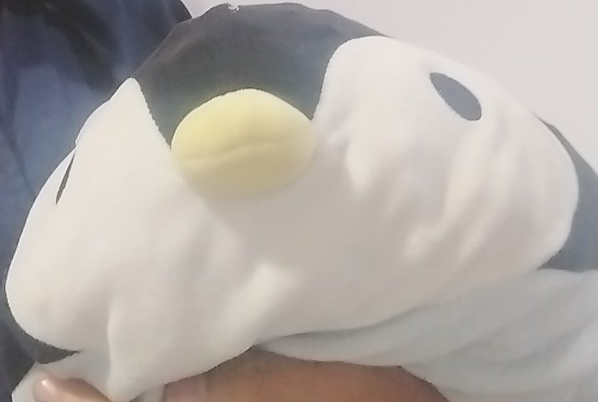 Penguin 🐧 (this is one of my plushie)
