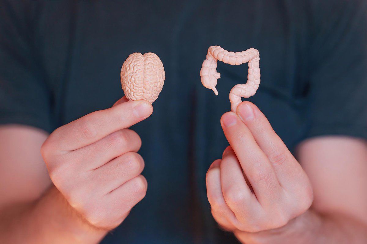 Seventure Partners (@seventurep) on Twitter photo Scientists have discovered a 'sixth sense'—a direct line from gut microbes to the brain. Using neuropods, the gut sends real-time signals that can influence appetite, behavior, and even mood. via <a href="/SciTechDaily1/">SciTechDaily</a> ow.ly/1sGr50WzQ8Y Scientists have discovered a 'sixth sense'—a direct line from gut microbes to the brain. Using neuropods, the gut sends real-time signals that can influence appetite, behavior, and even mood. via <a href="/SciTechDaily1/">SciTechDaily</a> ow.ly/1sGr50WzQ8Y