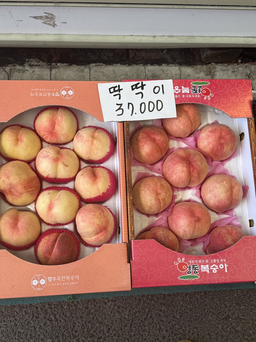 딱복아, 너야말로 최고의 복숭아야
다른사람말들은 듣지마.