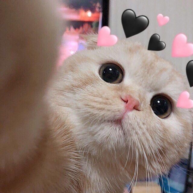 _EXOl485's tweet photo. @arlolala @weareoneEXO https://t.co/aknbx3onWh