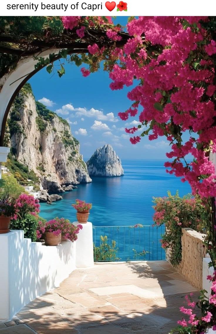 FLOWERS🌸🌹 (@ronaldoaccess) on Twitter photo 