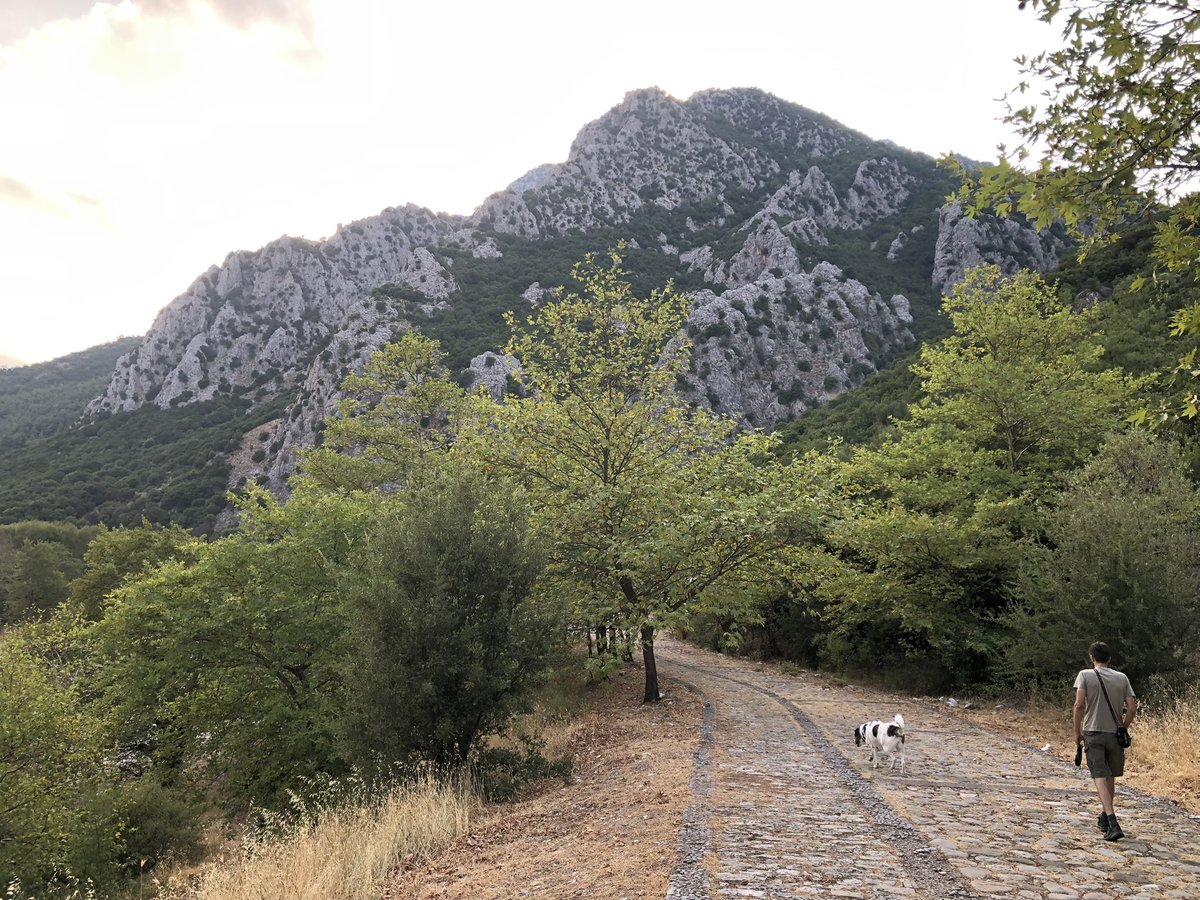 Ξεκινάει το Rare Evo στο Vegas ε;

Θα έχουμε πολύ ψωμί!

Είμαι διακοπές ακόμα βέβαια, αλλά θα παρακολουθώ απ τα βουνά και θα ενημερώνω!