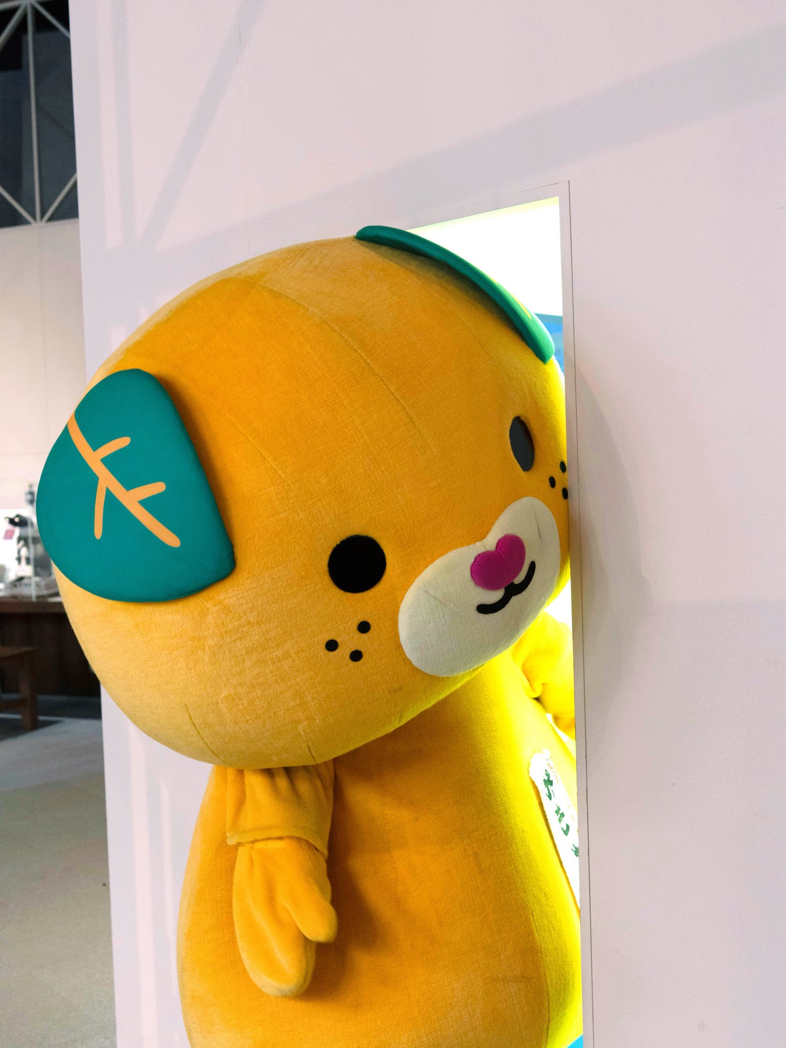 みきゃん【公式】《愛媛県イメージアップキャラクター