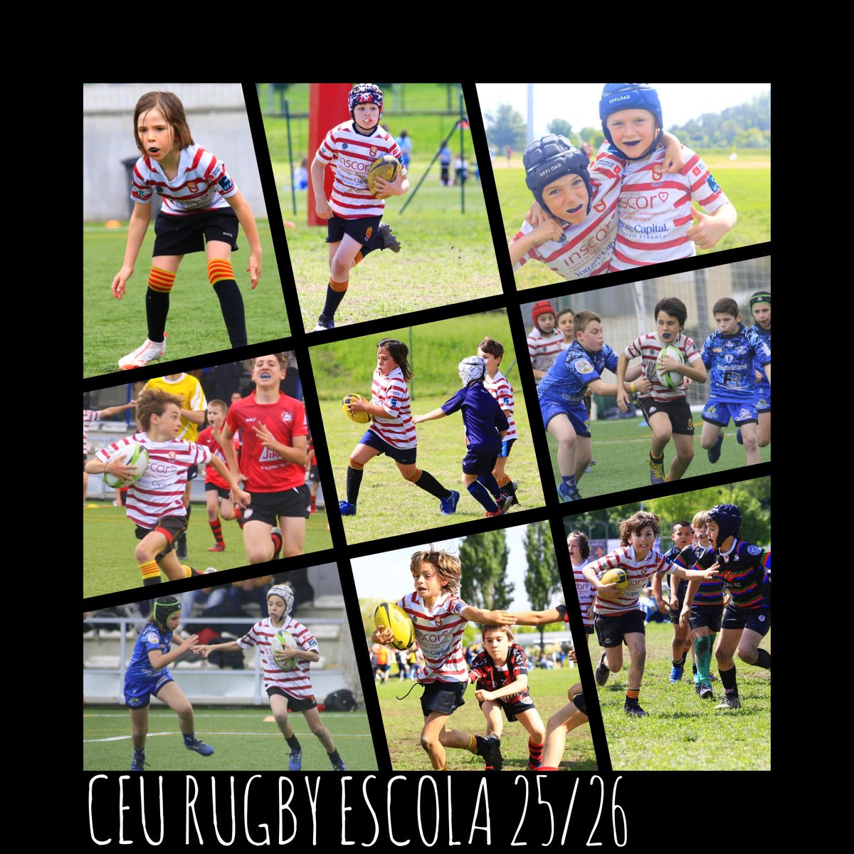 CEU Rugby Barcelona (@ceurugby) on Twitter photo Vols provar un nou esport? Vols fer nous amics? Vols descobrir un nou món?
Vine a l'escola del CEU rugby!
S6/S8 entrenaments
dimarts 18:00H
dissabtes 10:00H
S10/S12 entrenaments
dimarts i dijous 18:00H
dissabtes 10:00H
Inici entrenaments 2 setembre
Escriu a escola@ceurugby.com Vols provar un nou esport? Vols fer nous amics? Vols descobrir un nou món?
Vine a l'escola del CEU rugby!
S6/S8 entrenaments
dimarts 18:00H
dissabtes 10:00H
S10/S12 entrenaments
dimarts i dijous 18:00H
dissabtes 10:00H
Inici entrenaments 2 setembre
Escriu a escola@ceurugby.com