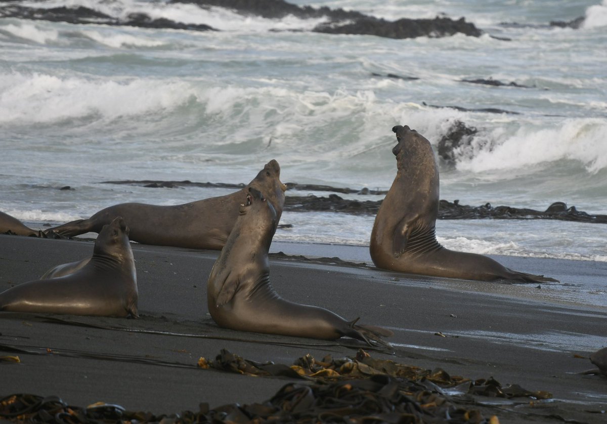 Indeed a great contribution - very timely as changes are becoming more apparent globally- ably lead by <a href="/SeonNicolas/">Nicolas SÉON</a>