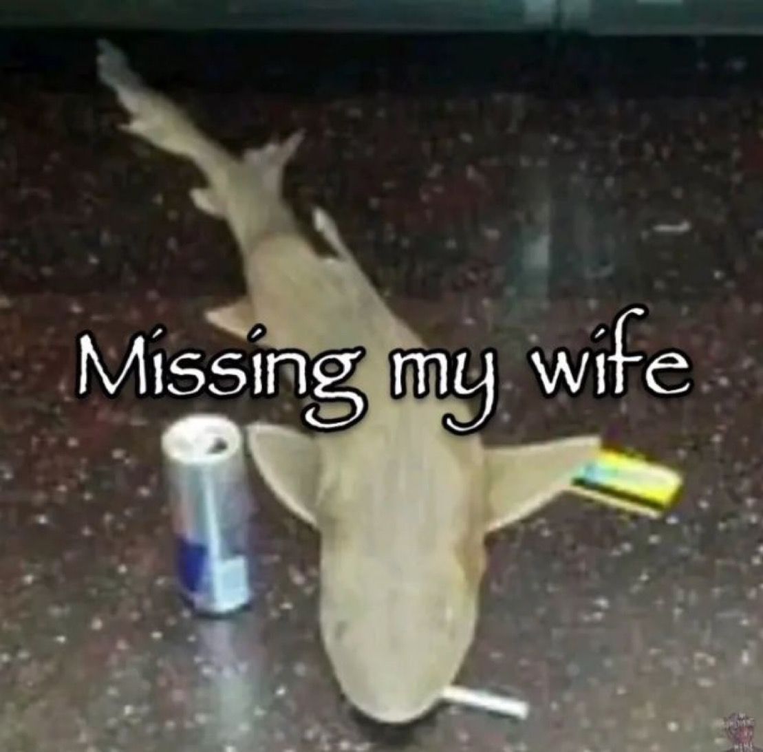 no context memes (@weirddalle) on Twitter photo 