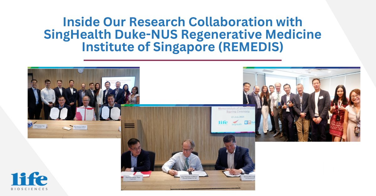 Life Biosciences (@lifebiosciences) on Twitter photo #ICYMI, we announced a research collaboration with SingHealth Duke-NUS Regenerative Medicine Institute of Singapore (REMEDIS) to expand our cellular rejuvenation therapies. Read more in <a href="/LongevityTech/">Longevity Technology</a>’s article on how we aim to transform healthy aging: bit.ly/4763IkM #ICYMI, we announced a research collaboration with SingHealth Duke-NUS Regenerative Medicine Institute of Singapore (REMEDIS) to expand our cellular rejuvenation therapies. Read more in <a href="/LongevityTech/">Longevity Technology</a>’s article on how we aim to transform healthy aging: bit.ly/4763IkM
