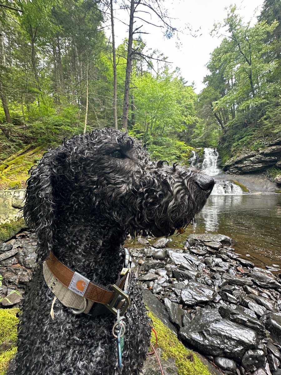 It is true. A dog is indeed a man’s best friend.