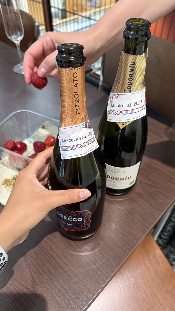 🎉This is the energy every PhD paper celebration should have. 
Just saying 🥂😁