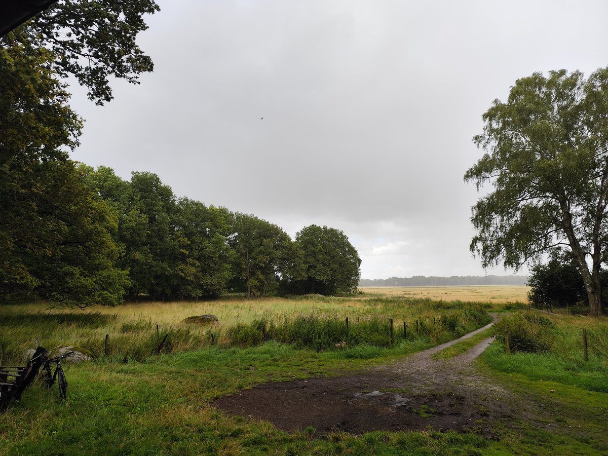 Vaig amb dessuadora i tallavents i, tot i així, tinc fred. No puc ser més feliç.