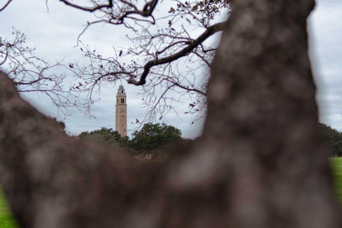 #LSU's presidential search committee has announced when it will have its first meeting later this month.

It's also added a new member.

More here ⬇️
lsureveille.com/260571/adminis…