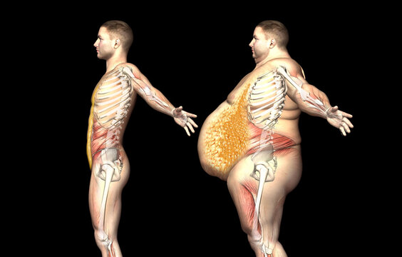 This is you:

September = Down 10lbs 
November = Down 30lbs 
January = Down 50lbs

Follow this Elite Operating Fitness System to start shredding fat:

1.) Get a blood test.
