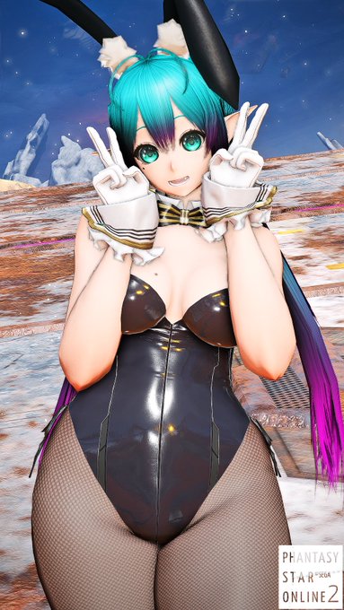 うちのこです #PSO2_NGS