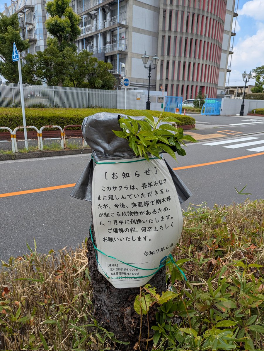 saki nagi (@aon9) on Twitter photo 