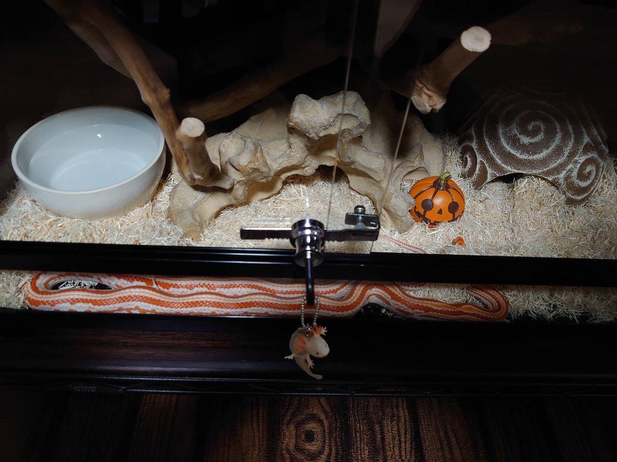 隠れてるつもりなのかな？w