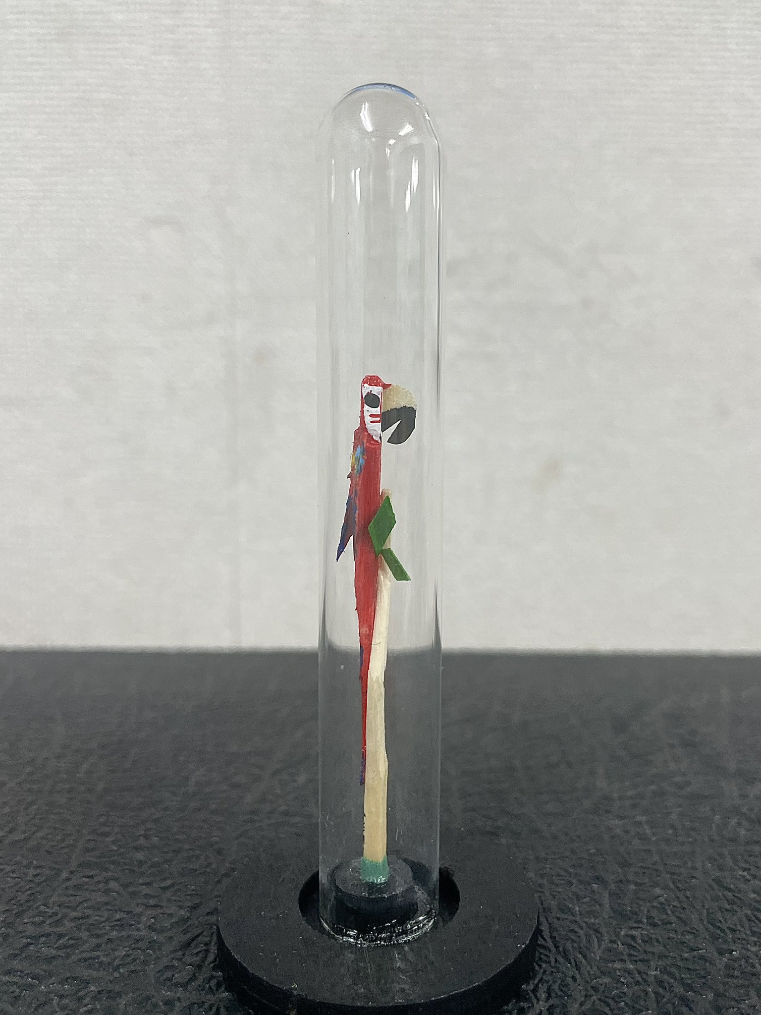 ★ブラジルのお土産★トゥーカン★鳥のタペストリー★アマゾン熱帯雨林★オニオオハシ ☆送料無料！ブラジルのお土産☆トゥーカン☆鳥のタペストリー