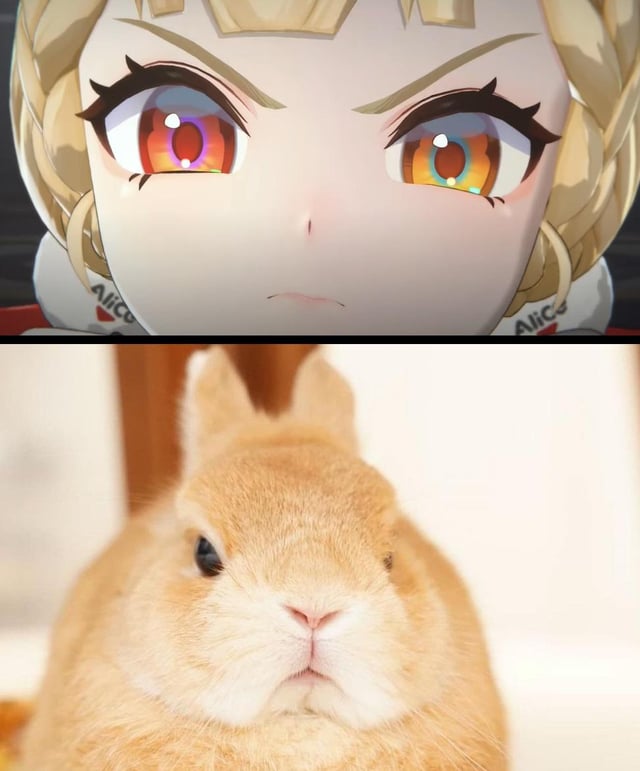 VonZenless's tweet image. Angry Rabbit

#ZenlessZoneZero #ZZZero #ZZZ