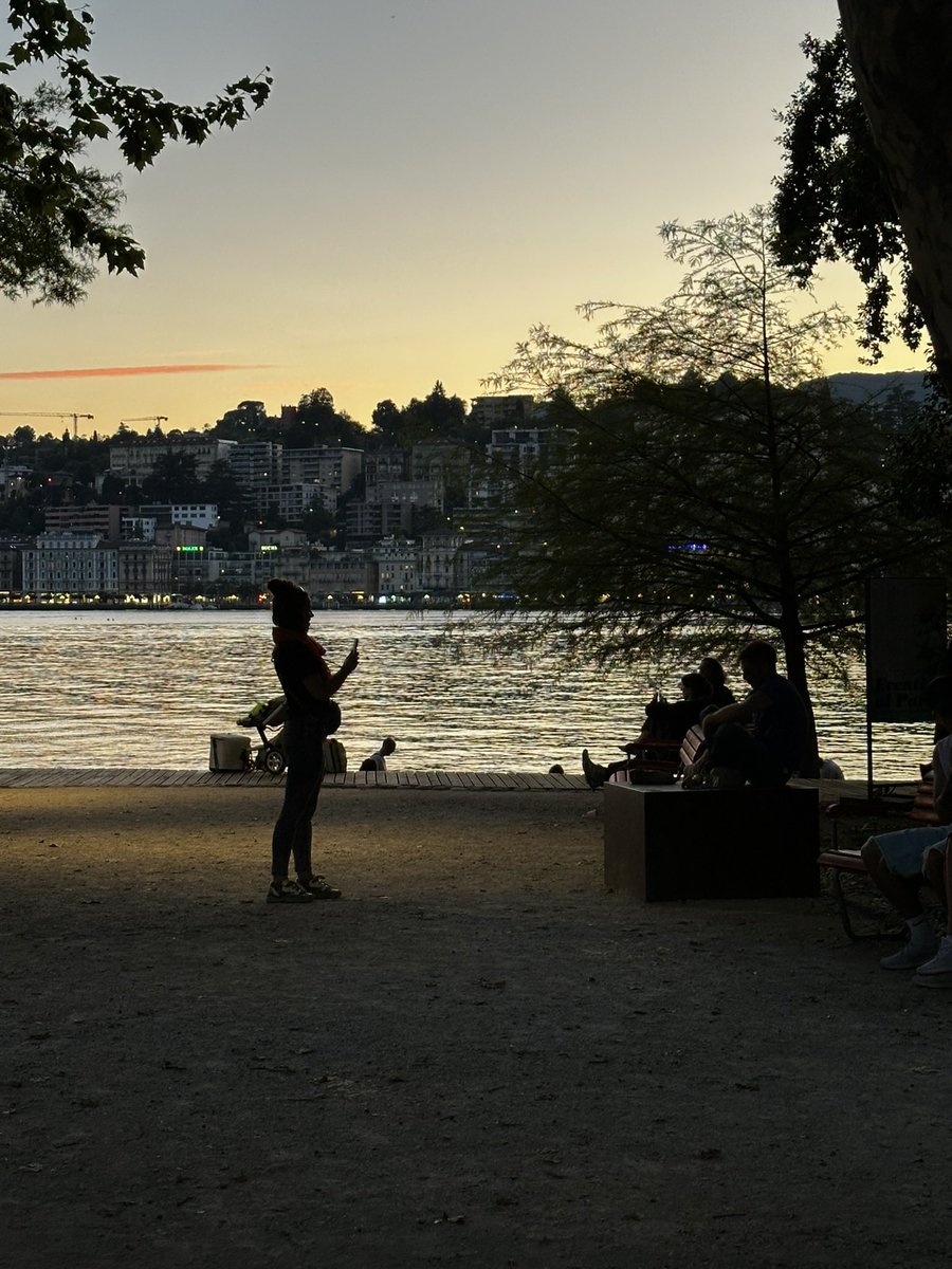 Gianmarco Guazzo tweet media