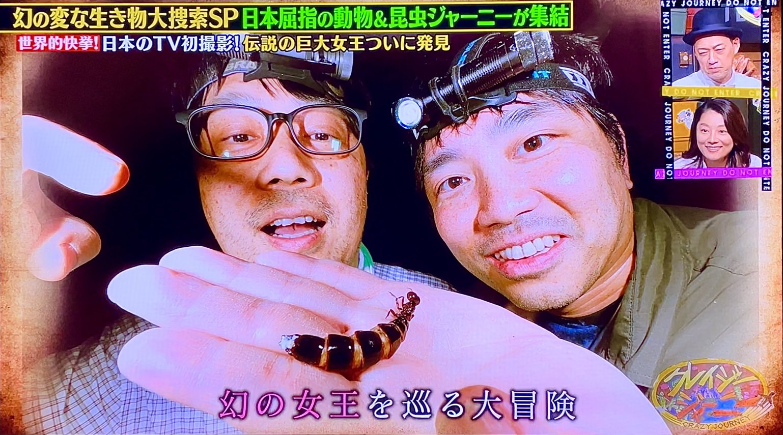 ①〜⑥ クレイジージャーニー　vol１〜６ 楽天市場】クレイジージャーニー Vol.6 : よしもとネット