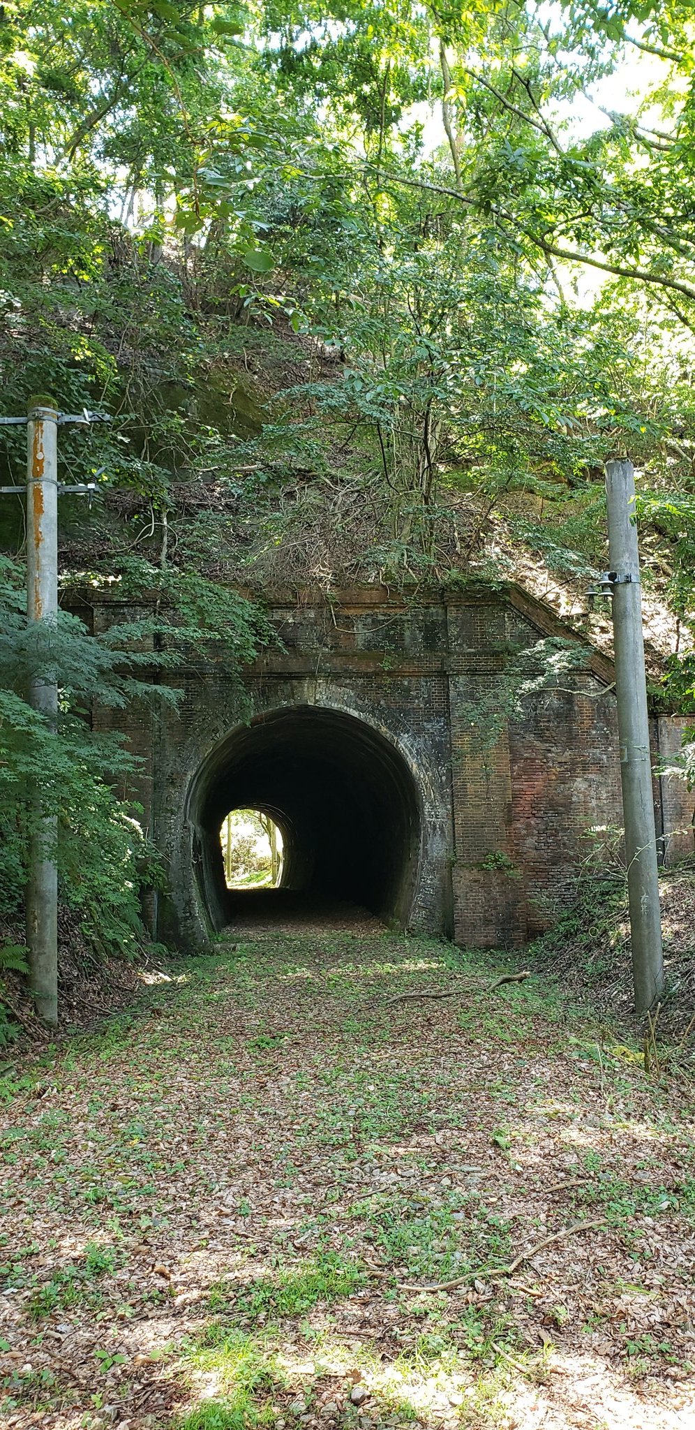愛のトンネル 🚲 暑い時は心霊スポット⁈ #愛知県 の有名なお化けトンネル