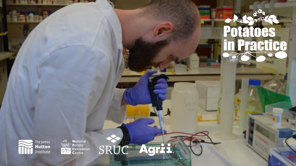 🚨 Just two days to #PotatoesInPractice2025!

Get an insight into what’s in store by reading our latest news, including highlights from our field plots:

🍃 Tackling late blight
🌱 Potatoes for the future

📅 7th August |📍Balruddery Farm | 🕘 9am

More: ow.ly/gvzA50WA1gZ